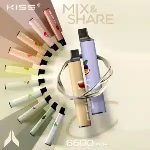 Kiss 6500抛棄式