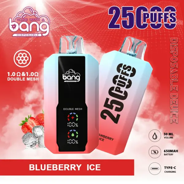 BANG 25000 PUFFS 一次性抛棄式  可充電大容量 歐美爆款