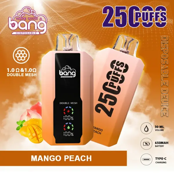 BANG 25000 PUFFS 一次性抛棄式  可充電大容量 歐美爆款