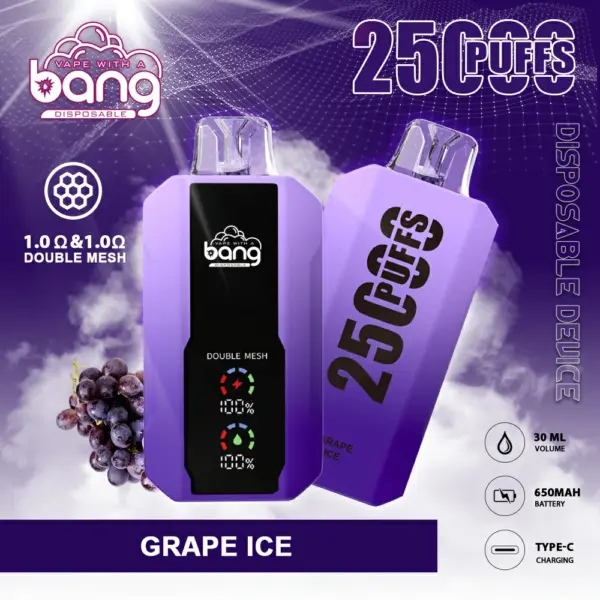 BANG 25000 PUFFS 一次性抛棄式  可充電大容量 歐美爆款