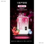 SP2S GEM 9000 Puffs拋棄式電子煙 一次性可充電電子煙 台灣現貨