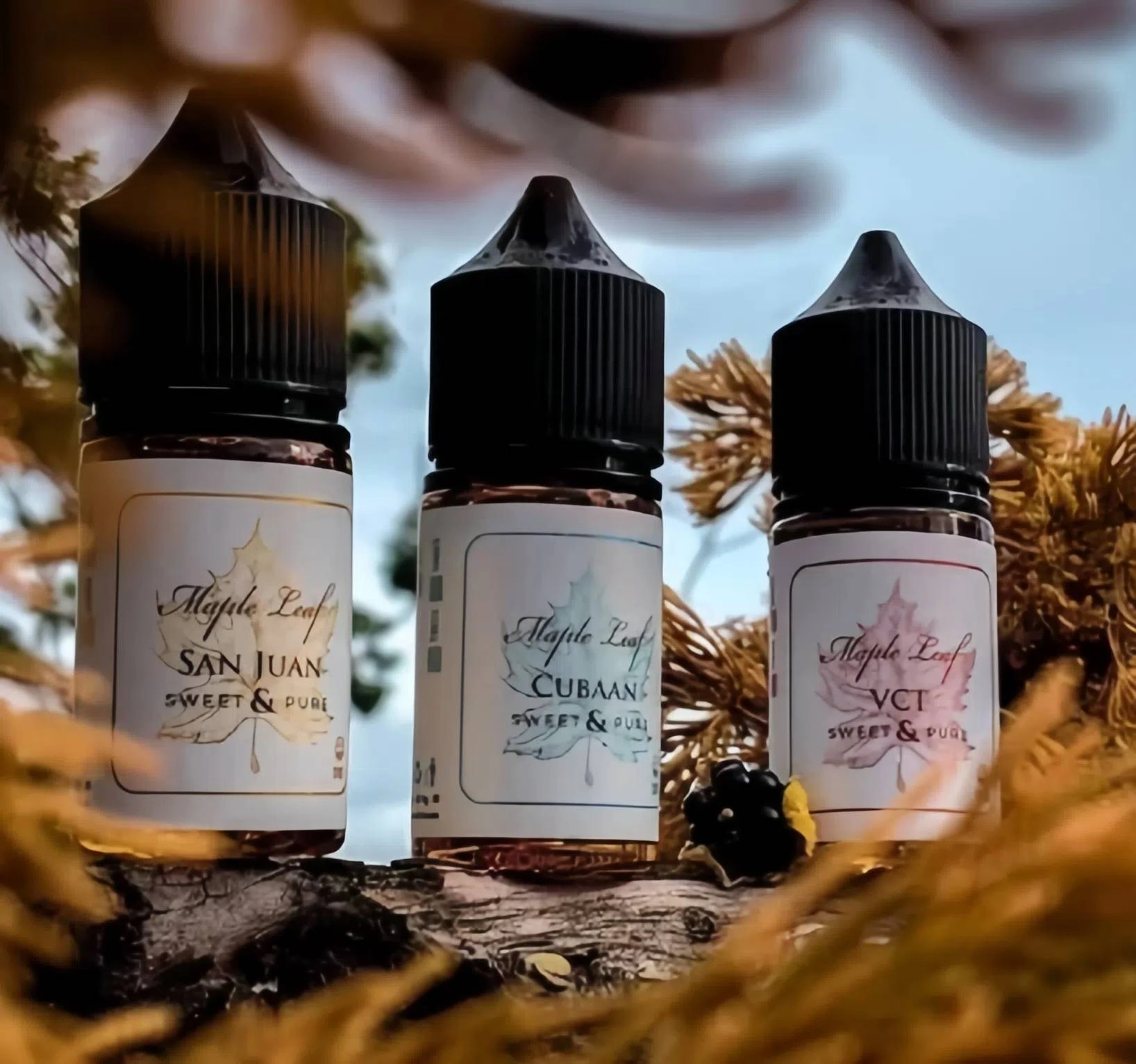 MAPLE LEAF 楓葉煙油推薦|6 款口味|台灣現貨 1 MAPLE LEAF 楓葉煙油 細節特寫