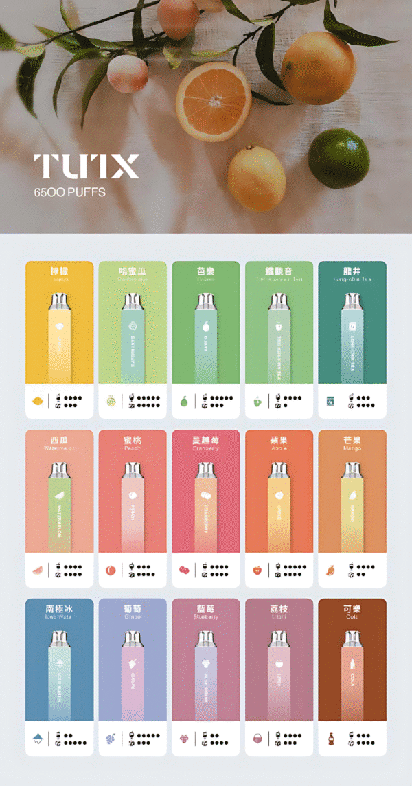 新品上市 TUTX 6500 PUFFS 一次性抛棄式電子煙 台灣現貨