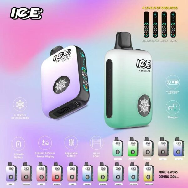 新品上市 ICE 10000 PUFFS 一次性抛棄式  四檔位可以自主調節涼度