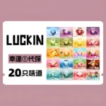 幸運 LUCKIN 煙彈 霧化彈 通配悅刻Relx主機一代 3顆價