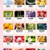 HAMAN 哈們煙彈 3ml/顆 3顆入 通用一代主機