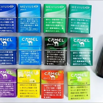 camel-ploom-aura-13.webp